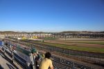 Grandstand GREEN<br /> Circuit Ricardo Tormo Cheste